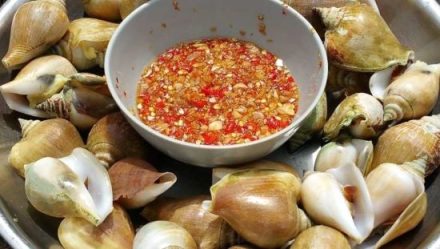 Gonggong, Camilan Laut Khas Kepulauan Riau yang Menembus Pasar Internasional