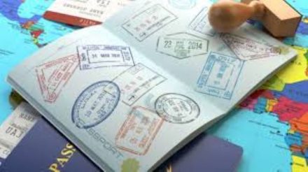 Panduan Lengkap: Cara Mengurus Paspor Baru Jika Hilang Saat Traveling