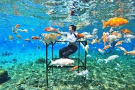 Hari Pariwisata Dunia, Ini Destinasi Ramah Lingkungan di Indonesia yang Wajib Dikunjungi
