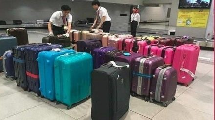 Tips Memilih Koper Aman untuk Perjalanan Udara: Kiat dari Pramugari Berpengalaman