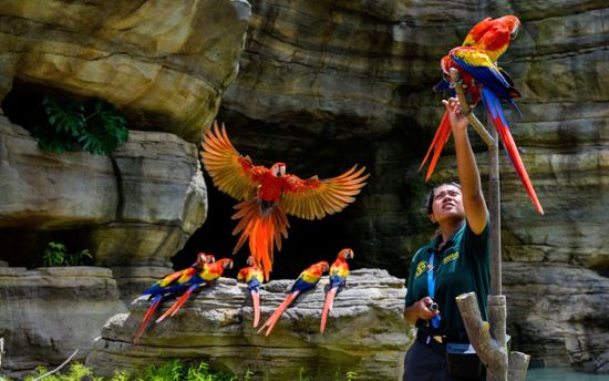 Destinasi Seru Akhir Tahun di Singapura: Pameran Ghibli, Bird Paradise, hingga Eksplorasi Luar Angkasa