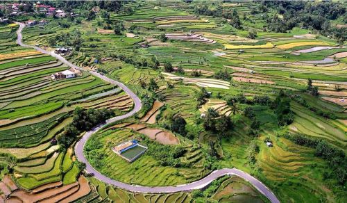 Paket Wisata 4D3N Padang – Bukittinggi + Desa Terindah: Eksplorasi Ranah Minang yang Memesona dengan Harga Terjangkau