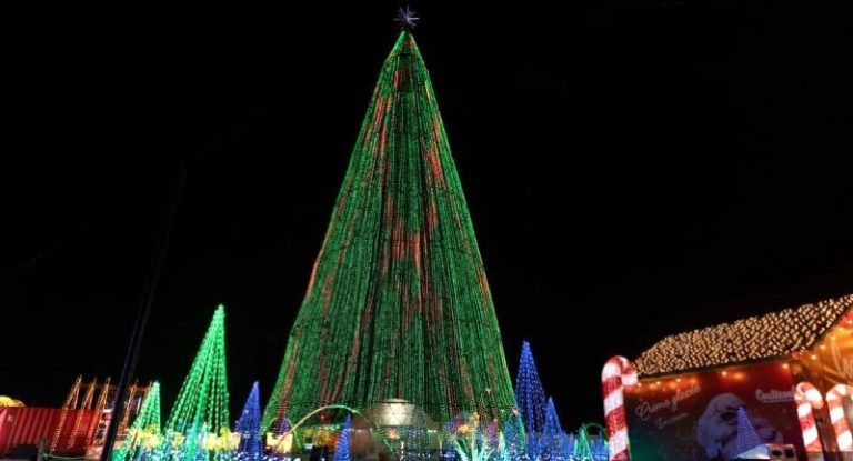 Istimewa dan Instagramable, Illumi Jadi Destinasi Malam Populer di Singapura dengan Pohon Lampu Tertinggi Dunia