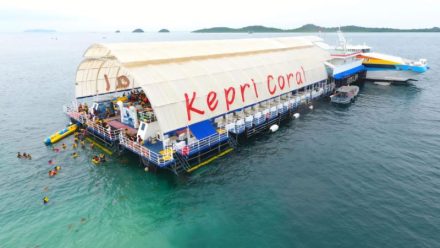 Petualangan Tak Terlupakan di Kepri Coral Resort Batam: Dari Snorkeling hingga BBQ Party