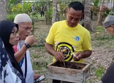 Gudem Bee Farm: Destinasi Wisata Edukasi Baru di Bintan yang Wajib Dikunjungi