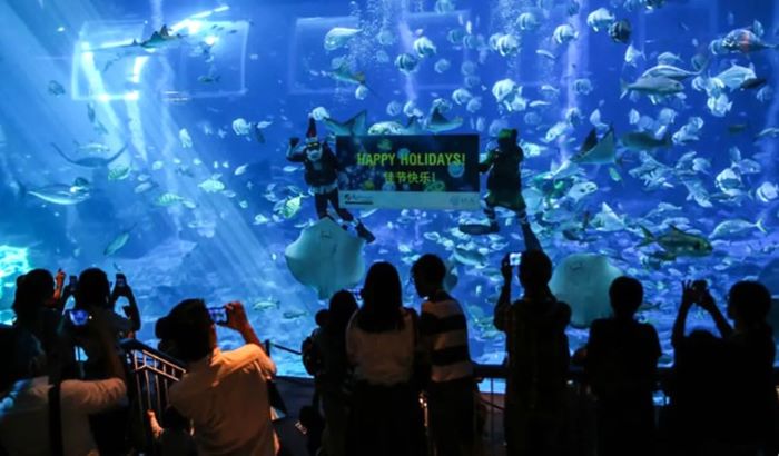 Sentosa Hadirkan 'A Big, Big World': Liburan Spektakuler Akhir Tahun dengan Instalasi Interaktif dan Karnaval