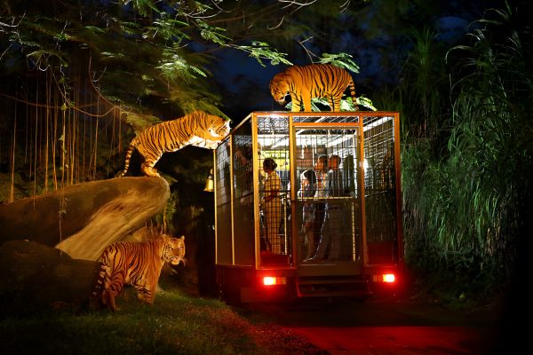Menikmati Wisata Malam di Singapura: 10 Destinasi Seru untuk Pengalaman Tak Terlupakan