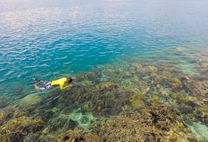 5 Spot Snorkeling Terbaik di Batam yang Wajib Anda Kunjungi