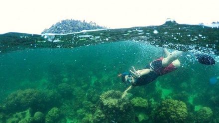 5 Spot Snorkeling Terbaik di Batam yang Wajib Anda Kunjungi