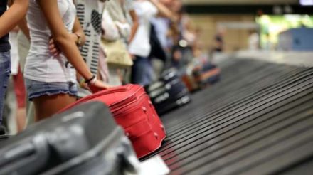 Jangan Asal Ambil Koper! Ini 9 Etika Penting Saat Menunggu Bagasi di Bandara