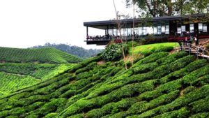 Liburan ke Malaysia? Nggak Cuma Kuala Lumpur, Ini 5 Tempat Wisata Unik yang Wajib Masuk Bucket List!