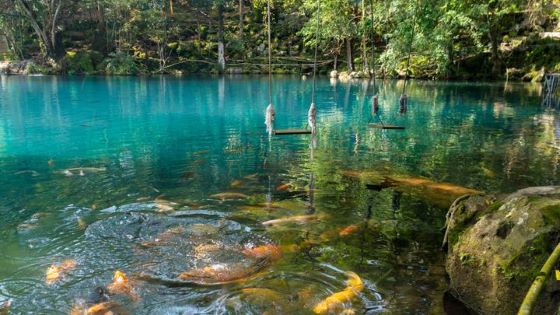 Akhir Pekan Seru di Kuningan: 10 Destinasi Wisata Alam dan Sejarah yang Wajib Dikunjung