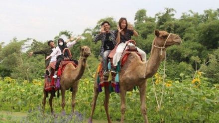 Baloga Batu: Surga Bunga, Edukasi Alam, dan Atraksi Seru di Kota Batu
