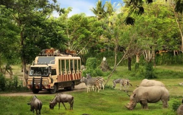 Liburan Sambil Belajar? Coba Kunjungi 5 Kebun Binatang Ini, Anak Dijamin Ketagihan!
