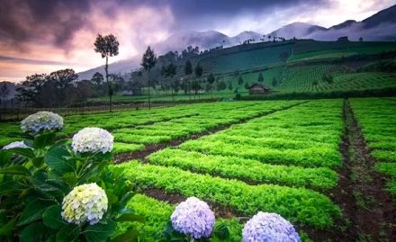 Libur Panjang Waisak 2025: 7 Destinasi Wisata Terindah di Jawa Timur yang Bikin Feed Instagrammu Viral!