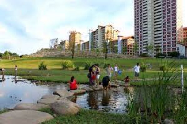 10 Tempat Piknik Hidden Gems di Singapura yang Wajib Kamu Kunjungi! Liburan Seru & Hemat di Negeri Singa