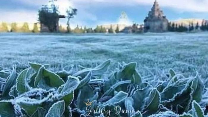 Musim Kemarau Makin Panas, Ini 5 Destinasi Wisata Dingin yang Bikin Liburan Agustus Makin Nyaman di Indonesia!