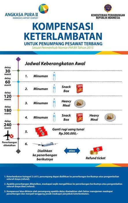 Liburan Gagal Gara-Gara Delay? Cek Hakmu dan Kompensasi Sesuai Aturan Pemerintah!