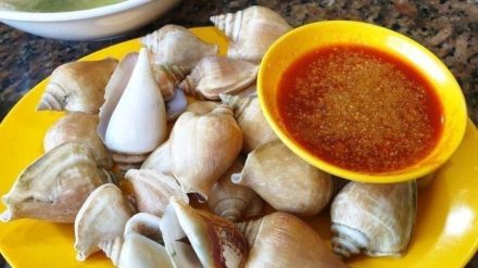 Jumlah Wisatawan Asing ke Batam 2025 Melejit, Capai 861 Ribu Hingga Juli