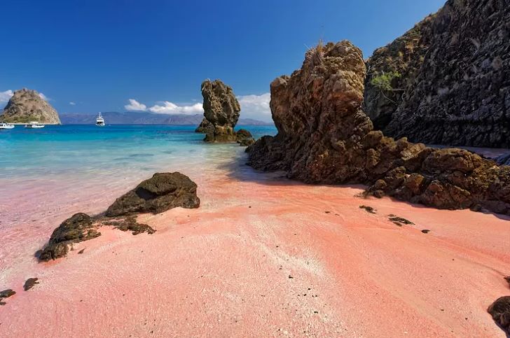 Pink Beach Komodo Terpilih Jadi Pantai Terindah di Dunia 2025, Kalahkan Destinasi Top Global