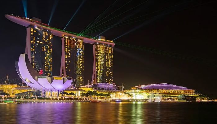 Wajib Tahu! Cara Isi Singapore Arrival Card (SGAC) Sebelum Masuk Singapura 2025