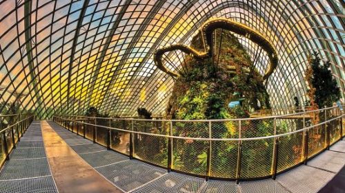 Gardens by the Bay: Ketika Alam dan Teknologi Menyatu di Jantung Singapura