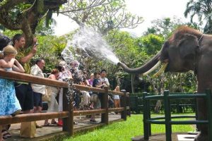 Rute Baru AirAsia Batam–Bali Resmi Dibuka! Cek 5 Destinasi Ubud Paling Instagrammable 2025