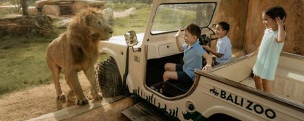 Libur Akhir Tahun ke Bali Kini Makin Mudah dari Batam! Yuk, Jelajahi 5 Destinasi Keluarga di Ubud yang Ramah Anak