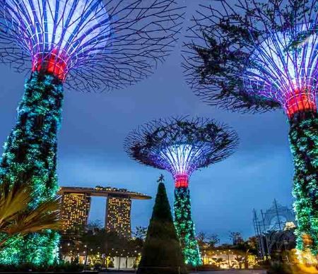 Gardens by the Bay: Ketika Alam dan Teknologi Menyatu di Jantung Singapura
