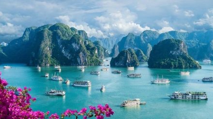 Pesona Mistis Halong Bay: Warisan Dunia yang Tersembunyi di Antara Naga dan Kabut Vietnam