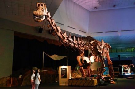 Masuk Lorong Waktu! Fosil Asli & Raksasa Purba 57 Ton Mejeng di Science Centre Singapor