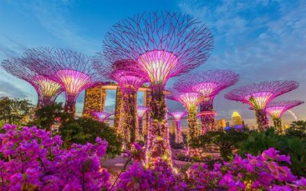 Pertama Kali ke Singapura? Jangan Pulang Sebelum Lihat Light Show Supertree di Gardens by the Bay!