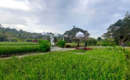 Healing di Tengah Kota Industri! Kampoeng Sawah Marina Batam Bikin Serasa Pulang Kampung