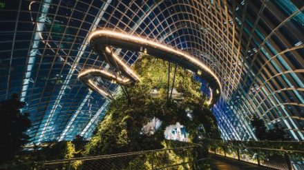 Singapura Makin Mendunia! Gardens by the Bay Raih Predikat Wisata Terbaik Asia