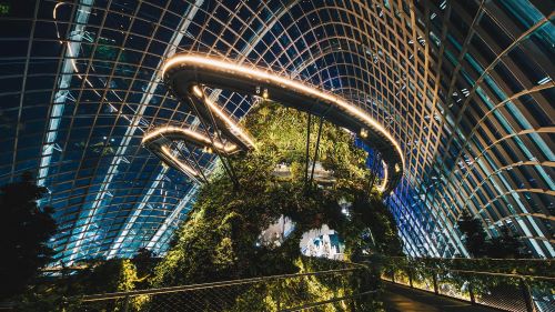 Singapura Makin Mendunia! Gardens by the Bay Raih Predikat Wisata Terbaik Asia