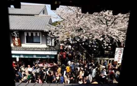 Liburan ke Jepang Makin Mahal! Mulai Juli 2026 Pajak Turis Naik 3 Kali Lipat, Ini Dampaknya