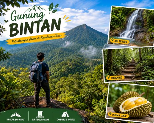 Gunung Bintan, Wisata Gunung Bintan, Wisata alam Bintan, Tempat wisata di Bintan, Wisata Kepulauan Riau, Destinasi wisata Bintan