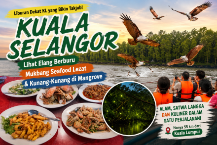 Bukan Kuala Lumpur! Kuala Selangor Punya Wisata Elang, Seafood hingga Kunang-Kunang yang Bikin Takjub
